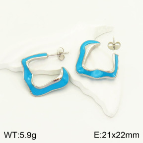 2E3002005vbnl-434  Stainless Steel Earrings