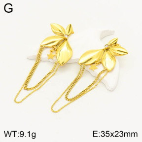 2E4003111bhva-434  Stainless Steel Earrings