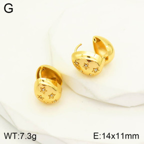 2E4003113bbov-434  Stainless Steel Earrings