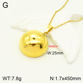 2N2003886vbpb-742  Stainless Steel Necklace