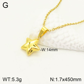 2N2003905bbml-742  Stainless Steel Necklace