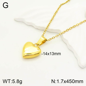 2N2003915abol-742  Stainless Steel Necklace