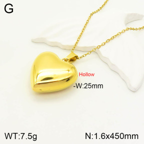 2N2003919abol-742  Stainless Steel Necklace