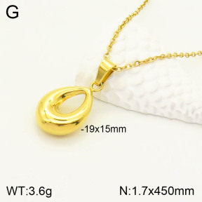 2N2003923abol-742  Stainless Steel Necklace