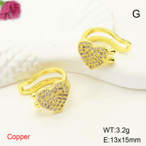 F6E405018ablb-L017  Fashion Copper Earrings