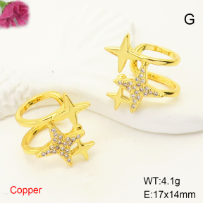 F6E405020ablb-L017  Fashion Copper Earrings