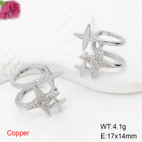 F6E405021ablb-L017  Fashion Copper Earrings