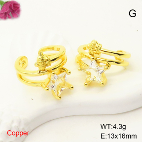 F6E405031ablb-L017  Fashion Copper Earrings
