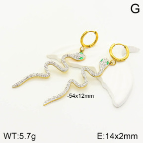 2E4003134vhhl-472  Stainless Steel Earrings