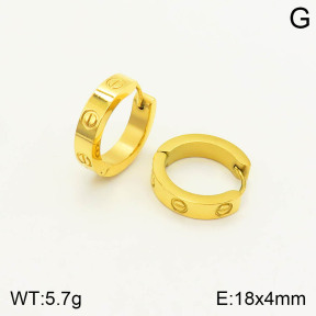 TE2000303vbnb-669  SS Earrings