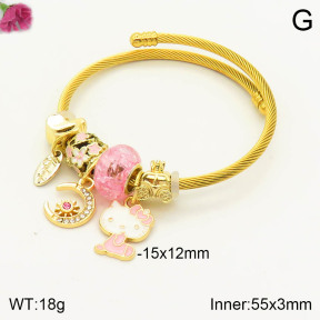 TZ2000228bhia-J39  Fashion  Bangles