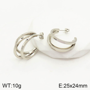 2E2003294baka-703  Stainless Steel Earrings