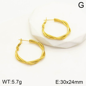 2E2003310baka-703  Stainless Steel Earrings