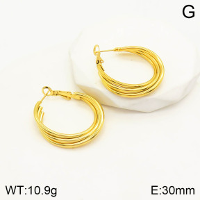 2E2003311aakl-703  Stainless Steel Earrings