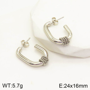 2E2003314aajo-703  Stainless Steel Earrings