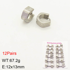 2E2003457akia-387  Stainless Steel Earrings