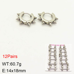 2E2003465akia-387  Stainless Steel Earrings
