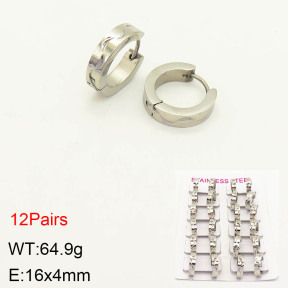 2E2003466akoa-387  Stainless Steel Earrings