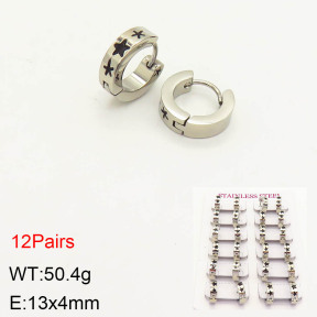 2E2003468akoa-387  Stainless Steel Earrings