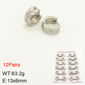 2E2003475akia-387  Stainless Steel Earrings