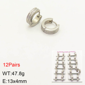 2E5000162akia-387  Stainless Steel Earrings