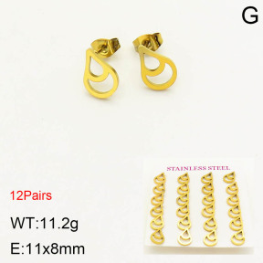 2E2003344bhia-611  Stainless Steel Earrings