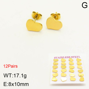 2E2003347bhia-611  Stainless Steel Earrings