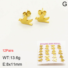 2E2003371bhia-611  Stainless Steel Earrings