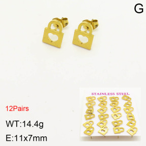 2E2003377bhia-611  Stainless Steel Earrings