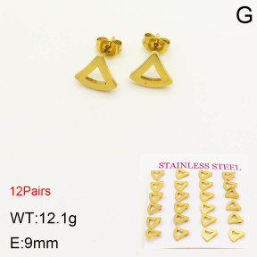 2E2003400bhia-611  Stainless Steel Earrings