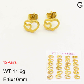 2E2003407bhia-611  Stainless Steel Earrings