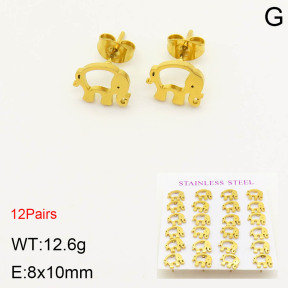 2E2003410bhia-611  Stainless Steel Earrings