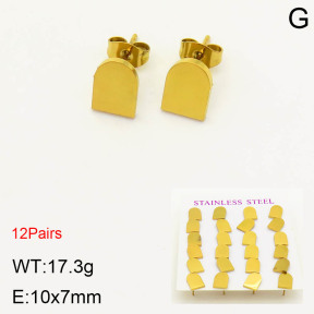 2E2003411bhia-611  Stainless Steel Earrings