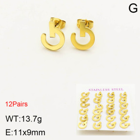 2E2003412bhia-611  Stainless Steel Earrings