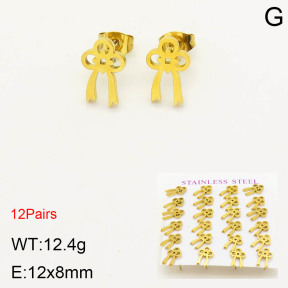 2E2003415bhia-611  Stainless Steel Earrings