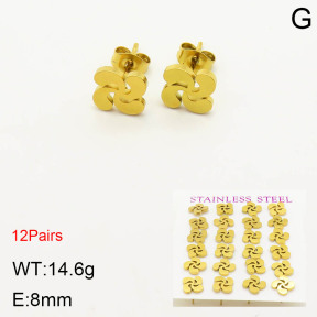 2E2003416bhia-611  Stainless Steel Earrings