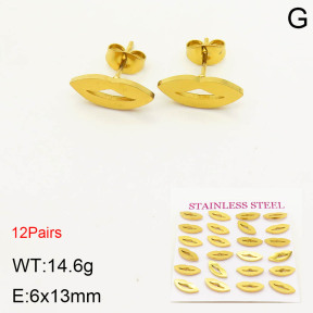 2E2003417bhia-611  Stainless Steel Earrings