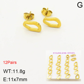 2E2003420bhia-611  Stainless Steel Earrings