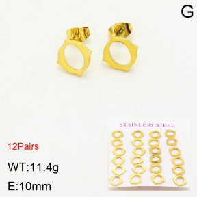 2E2003443bhia-611  Stainless Steel Earrings
