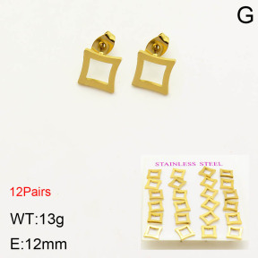 2E2003445bhia-611  Stainless Steel Earrings