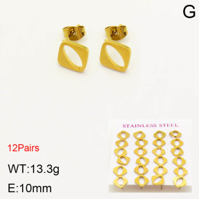 2E2003446bhia-611  Stainless Steel Earrings