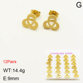 2E2003449bhia-611  Stainless Steel Earrings