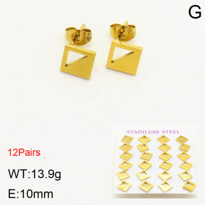 2E2003452bhia-611  Stainless Steel Earrings