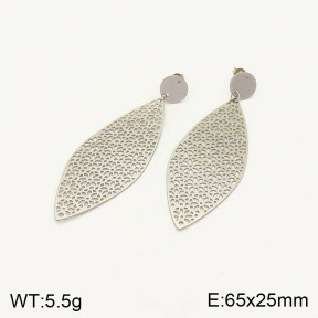 2E2003504ablb-212  Stainless Steel Earrings