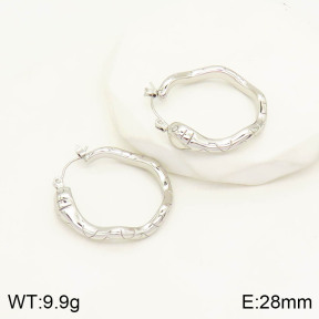 2E2003506vhmv-669  Stainless Steel Earrings