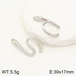 2E2003507vhmv-669  Stainless Steel Earrings