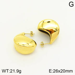 2E2003515vhnv-669  Stainless Steel Earrings