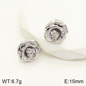 2E2003516bhia-669  Stainless Steel Earrings