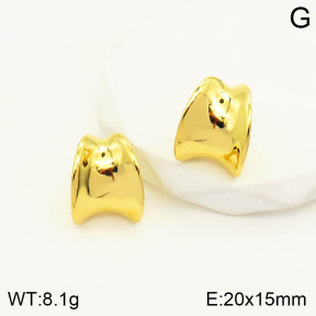 2E2003518bhil-669  Stainless Steel Earrings