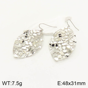 2E2003521vbpb-743  Stainless Steel Earrings
